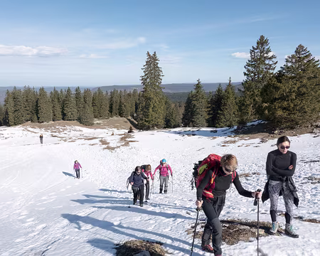 20230318-09h50m35s-XLA03543-V3 sur une fine couche de neige