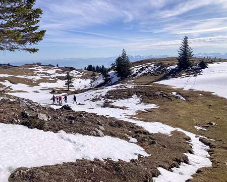 20230318-11h00m12s-photo_isa5-V3