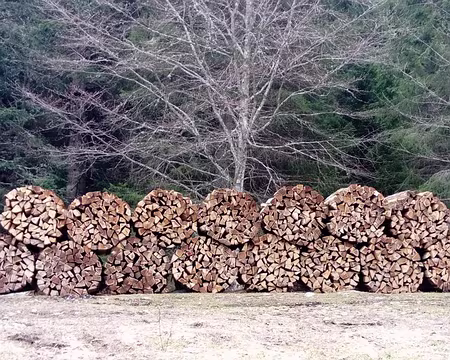 20230318-14h15m13s-IMG_20230318_141411 - Copie-V3 Du bois parfaitement rangé.