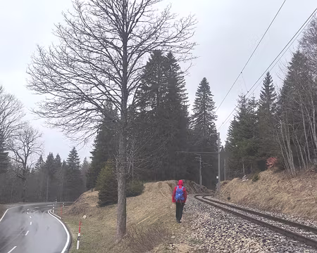 20230319-00h07m45s-XLA03619-V3 Aujourd'hui légère humidité