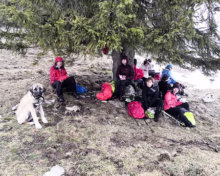 20230319-13h30m49s-IMG_20230319_133048-V3 Nous sommes surveillés