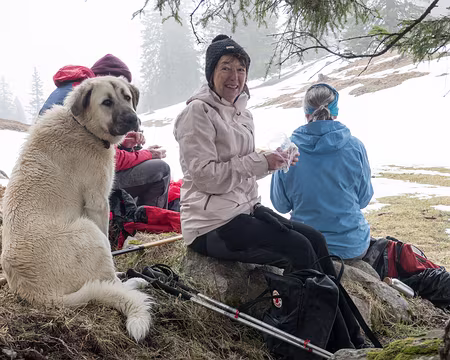 20230319-13h35m57s-XLA03634-V3 par nos nouveaux amis...