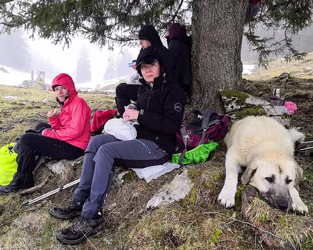 20230319-13h39m18s-IMG_20230319_133917-V3 visiblement déçu par son troupeau de randonneurs