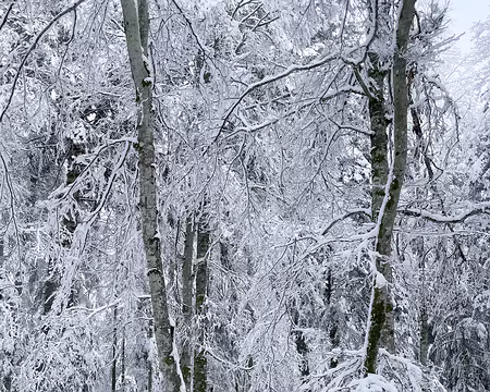 20240112-12h32m47s-image00027-V3