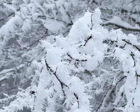 20240112-12h38m20s-IMG_1117-V3