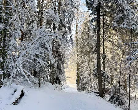 20240112-16h03m05s-IMG_0963-V3