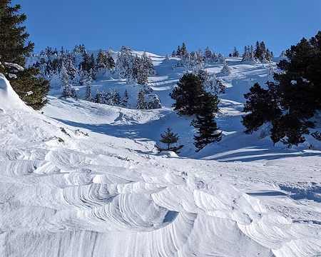 20240113-12h05m49s-PXL_20240113_110549529-V3