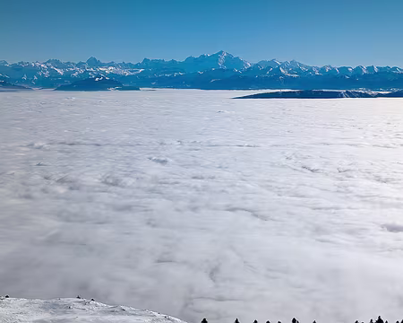 20240113-12h41m52s-PXL_20240113_114152978-V3