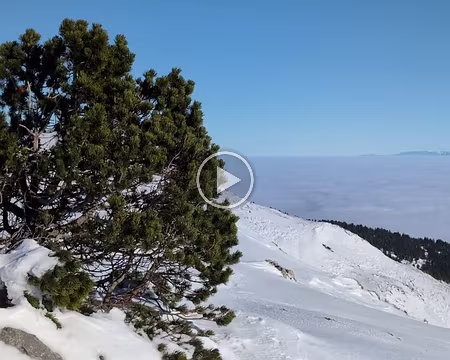 20240113-13h21m04s-PXL_20240113_122103369-V3