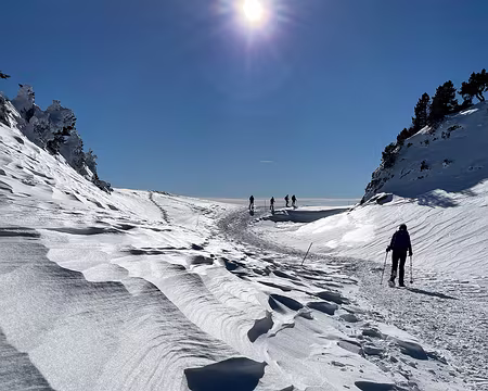 20240113-13h43m32s-image00018-V3