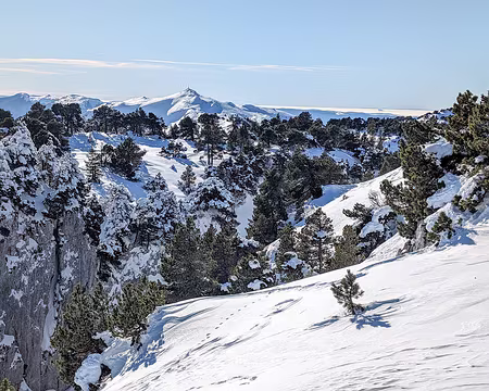 20240113-13h56m53s-PXL_20240113_125653601.MP-V3