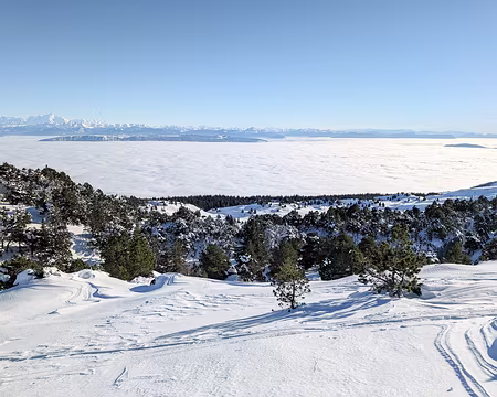 20240113-14h55m37s-PXL_20240113_135537134-V3