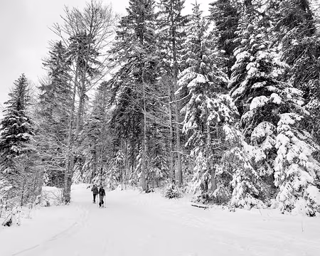 20240115-09h58m30s-20240115_095829-V3