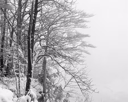 20240115-10h08m42s-20240115_100842-V3