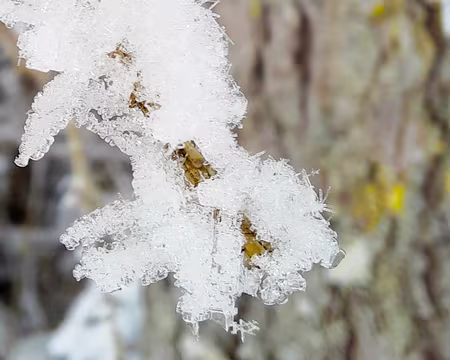 20240115-12h58m28s-20240115_125828-V3