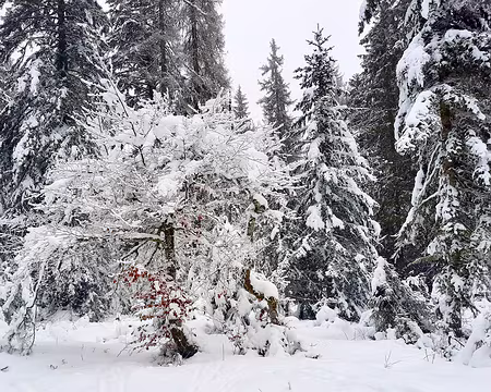 20240115-13h02m04s-20240115_130204-V3