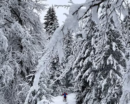 20240115-13h19m55s-image00001-V3