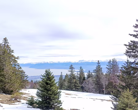 20240302-11h49m51s-20240302_114951-V3