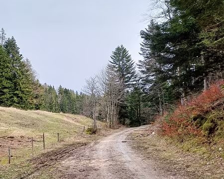 20240302-13h12m05s-20240302_131205-V3 Plus bas c'est sec.