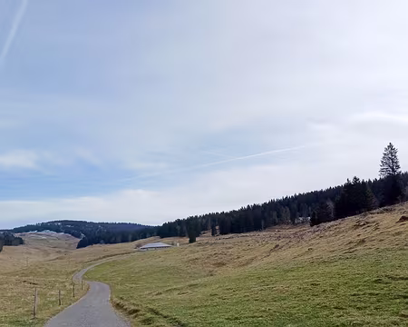 20240303-10h15m51s-20240303_101551-V3 En route dans les champs vers le Noirmont