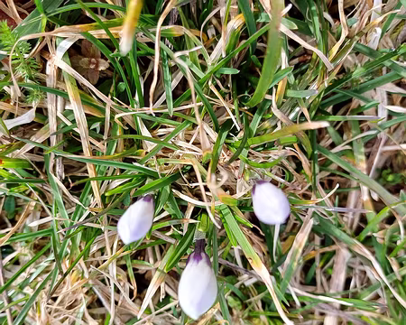 20240303-10h16m27s-20240303_101627-V3