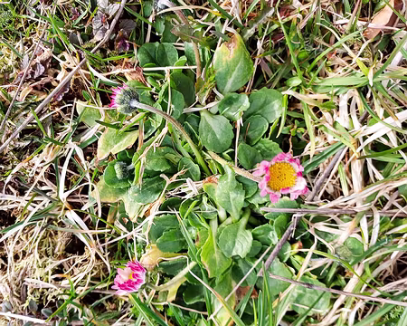 20240303-10h16m44s-20240303_101644-V3