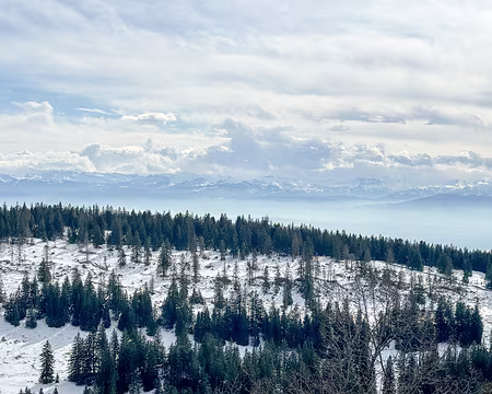 20240303-11h36m20s-IMG_1092-V3 La vue de la pause méridienne