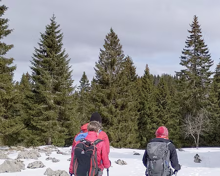 20240303-12h40m22s-IMG_20240303_124021-V3