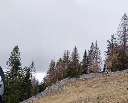 20240303-13h16m11s-20240303_131612-V3