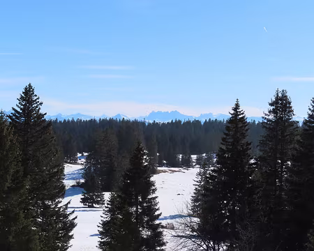 IMG_6312 Très beau temps