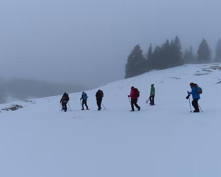 IMG_6381 Départ le matin dans une légère brume