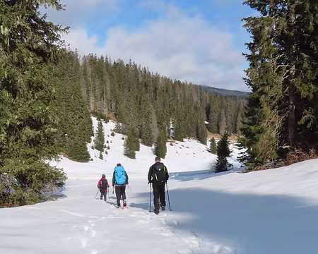 IMG_6391 Jeudi, on fait une boucle autour de la cabane du Pralet