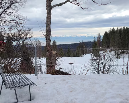 IMG_6500_ Soleil couchant à Rochefort