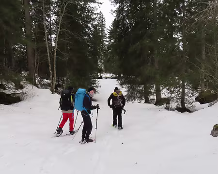 IMG_6508 Que se soit dans la neige molle ou pour éviter les gadins sur le verglas, les raquettes se sont révélées bien utiles.