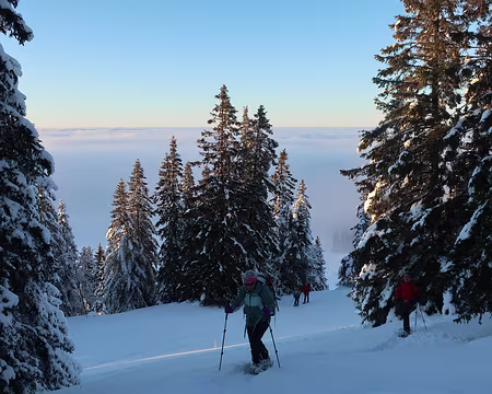 2025-02-01_17h07m50s_25-RQ07_J1-FREDERIC Bientôt les crêtes du mon Tendre et le mont Tendre (plus haut sommet du Jura suisse)