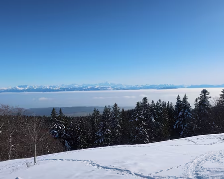 2025-02-02_14h45m50s_25-RQ07_J2-FREDERIC Le Léman sous les nuages et les Alpes en arrière plan depuis le Crêt de la Neuve