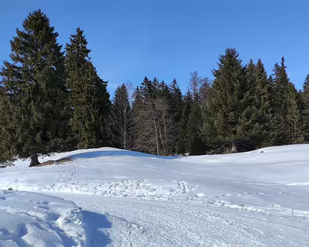 IMG_20260202_020 Nous entamons la rando sur la piste de ski de fond : bien damée, pas besoin de chausser les raquettes.