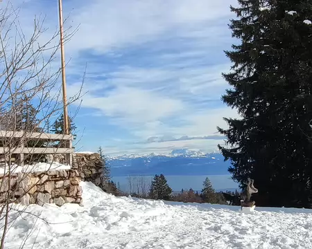 IMG_20260202_050 Elle donne sur le lac, avec sa petite sculpture de chamois.