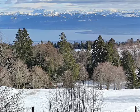 IMG_20260202_060 Et la vue sur les Alpes est grandiose. Le petit ensemble de sommets qui s'alignent un peu à gauche du centre sont les Dents du Midi. Au centre, au bout de...