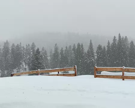 IMG_20260203_020 Mardi 3 février. C'est partie pour une boucle, sous une neige qui ne s'arrêtera de tomber que l'après midi.