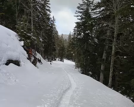 IMG_20260203_040 Et ça trace dans la fraiche !