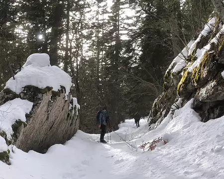 IMG_20260204_055 C'est reparti pour la petite boucle de l'après-midi, sous un soleil radieux.