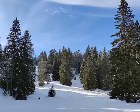 IMG_20260204_060 Direction : un vallon d'altitude.