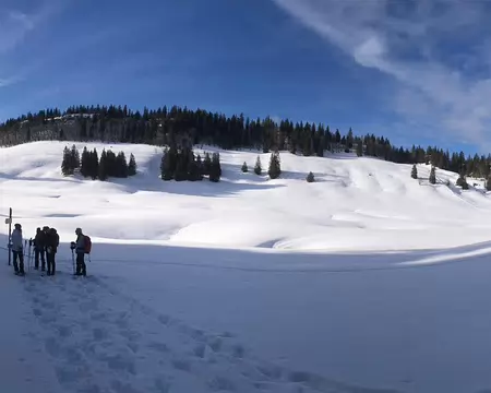 IMG_20260204_075 Le vallon en question (1400m).