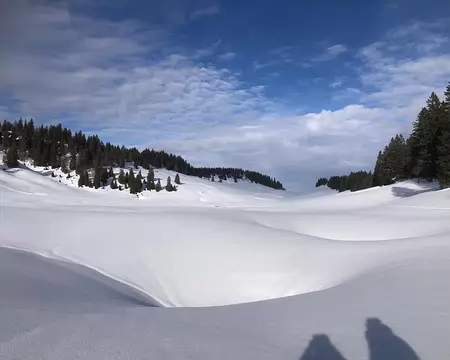 IMG_20260204_080 Il est jonché de dolines : des dépressions en forme d'entonnoir caractéristiques des milieux karstiques, qui peuvent être dangereuses.