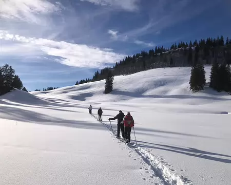 IMG_20260204_085 Sillon dans la neige vierge.