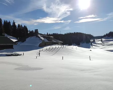 IMG_20260204_090 Une cabane à l'une des extrémités du vallon.
