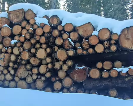 IMG_20260204_100 Une manière efficace de ranger des grumes sans prendre trop de place.