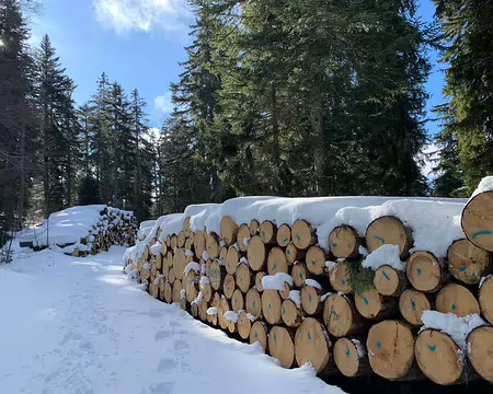 IMG_20260204_105 Une manière plus classique, quoique que moins hasardeuse que la française.