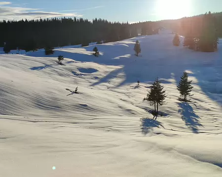 IMG_20260204_110 Retour à la cabane du pique nique au couché du soleil. Le souper sera à la chandelle car une partie seulement de la pièce commune est éclairée ...